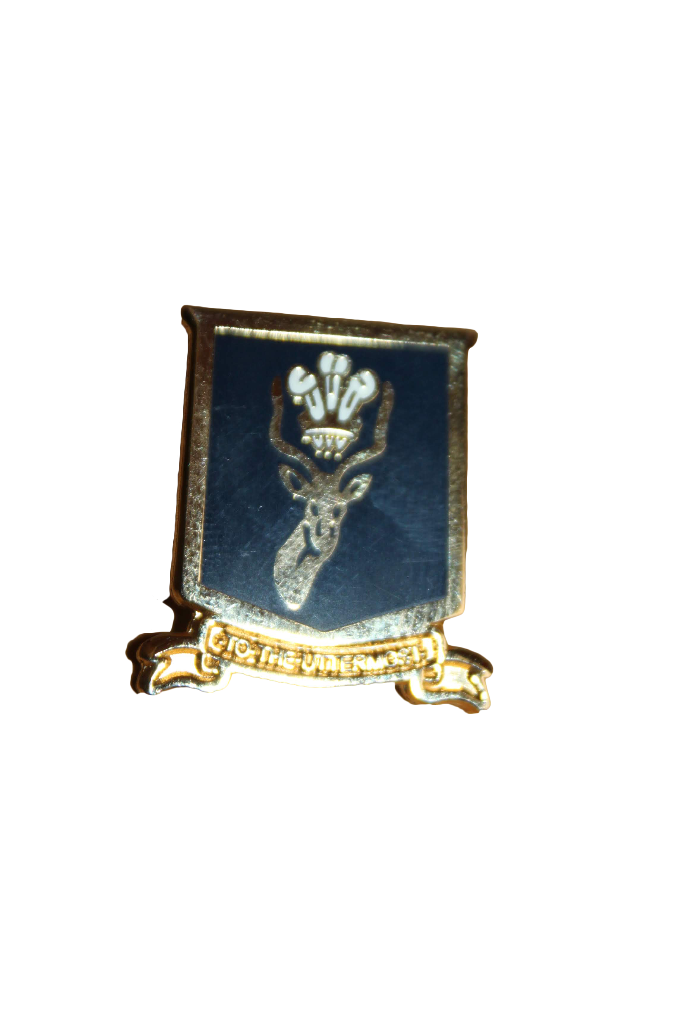 Nairobi School Lapel Pin