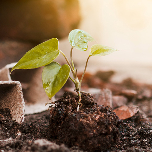 Sustainability Drive: OCS Reduces Carbon Footprint by 20%